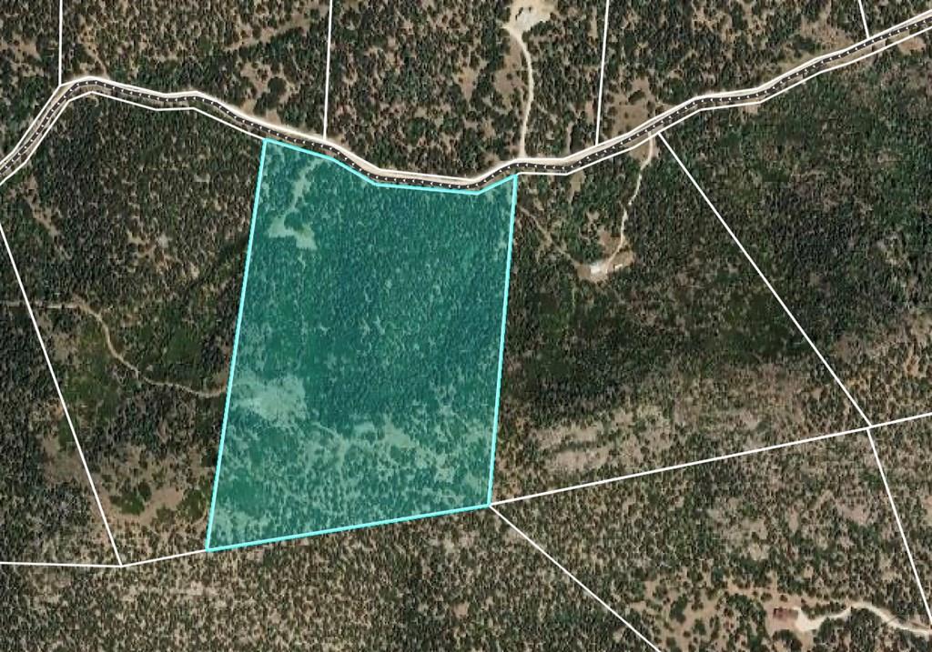 Land in Texas Creek 2
