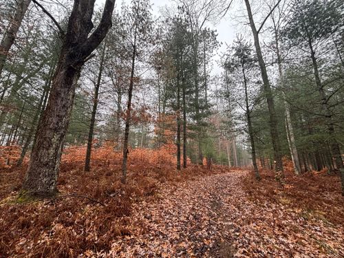 6270 S Woods Trl, Custer, MI, 49405 | Card Image