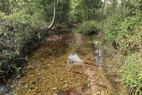 253 Coyote Rd, Salem, AR, 72576-9399 | Card Image