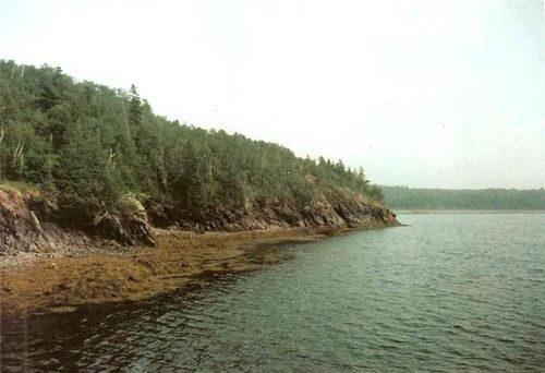 0 Mill Creek Lane, Lubec, ME, 04652 | Card Image
