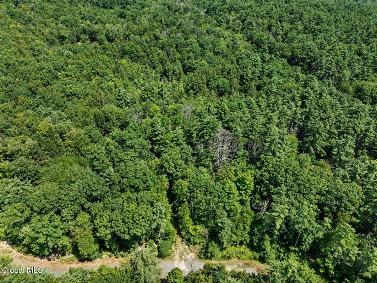 Land in Stephentown 3