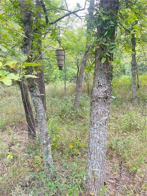 4750 Labette Ter, Rantoul, KS, 66079-9068 | Card Image