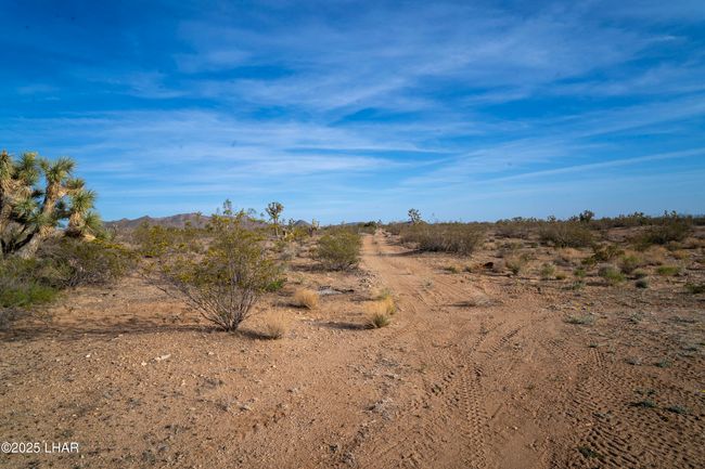 7190 E Red Barrel Dr, House other with 3 bedrooms, 2 bathrooms and null parking in Yucca AZ | Image 54