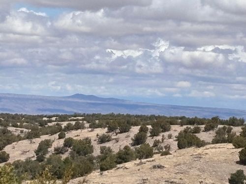 56 Pinon Springs Rd, Magdalena, NM, 87825 | Card Image