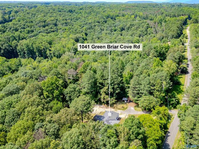1041 Green Briar Cove Rd, House other with 4 bedrooms, 2 bathrooms and null parking in Union Grove AL | Image 44