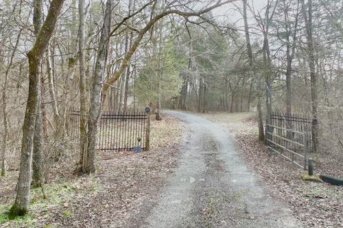247 Carter Ln, Castalian Springs, TN, 37031-4802 | Card Image