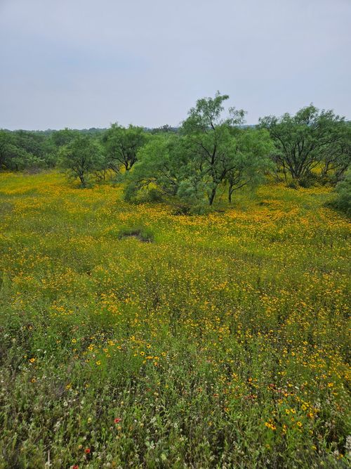 6990 County Road 246, Richland Springs, TX, 76871 | Card Image