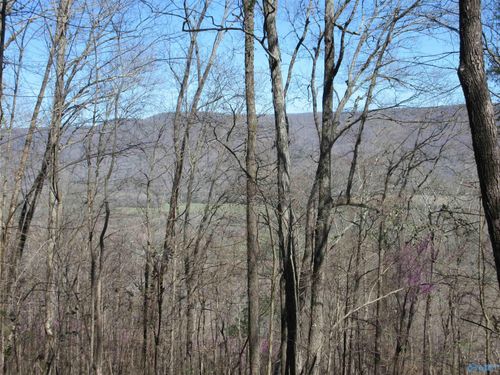 44 Knolton St, Paint Rock, AL, 35764-6462 | Card Image