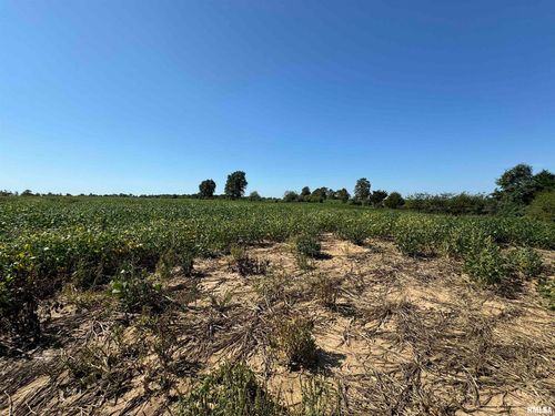 000 County Road 1375 N, Cisne, IL, 62823 | Card Image