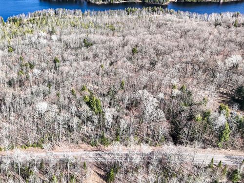 ON Chaney Lake Rd, Bessemer Twp, MI, 49911 | Card Image