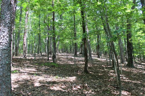 4568-0 Denny Ridge Rd, Jasper, GA, 30143 | Card Image