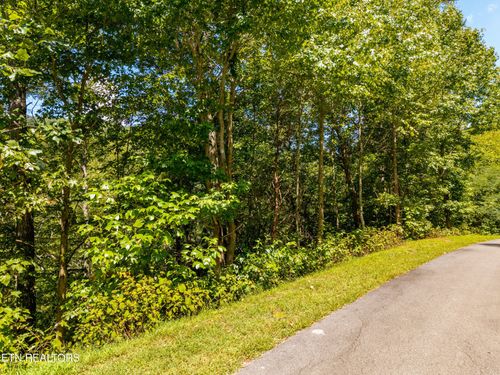 445 Chetola Trl, Townsend, TN, 37882-3037 | Card Image