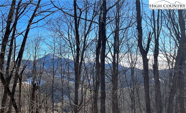 33 Paradise Valley Circle, Home with 0 bedrooms, 0 bathrooms and null parking in Creston NC | Image 4