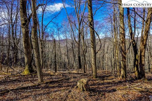 TBD Little Tree Ln, Banner Elk, NC, 28604 | Card Image
