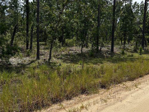 137 Beulah Dr, Hawthorne, FL, 32640-4336 | Card Image