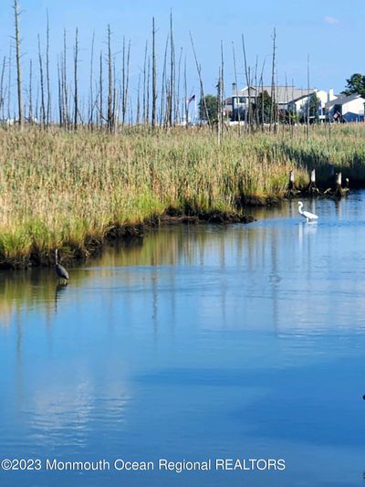 PRIVATE END WATER, ACROSS ARE EVERGLADES PRIVACY NEVER TO BUILD ON, CAN BOAT TO THE OCEAN | Image 2