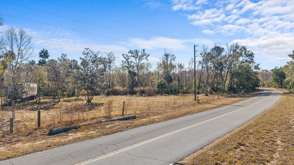 Land in Steinhatchee 2