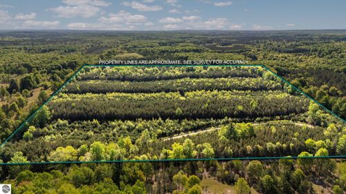Lot E 9.08 ACRE Lake, Fife Lake, MI, 49633 | Card Image
