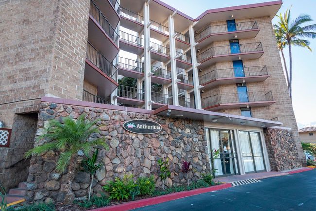 APT-301 - 938 S Kihei Rd, Condo with 1 bedrooms, 1 bathrooms and null parking in Kihei HI | Image 18