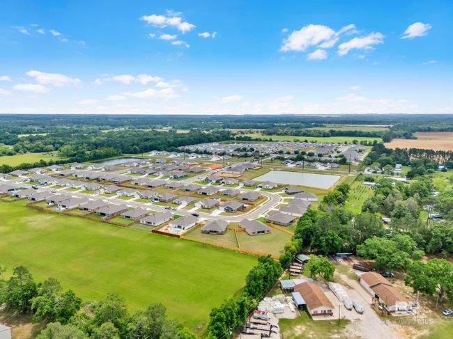 Aerial View | Image 42
