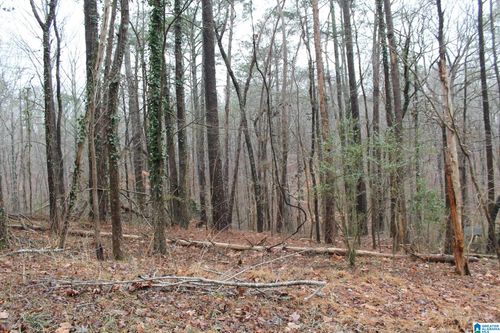 15-246 Driftwood Cir, PINSON, AL, 35126-2246 | Card Image