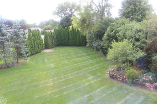 19804 Woodview Dr, Clinton Township, MI, 48038-4951 | Card Image