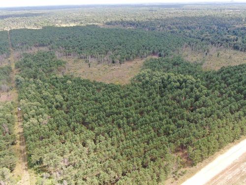80 AC 16th Ave Acres Acres, BIG FLATS, WI, 54613 | Card Image