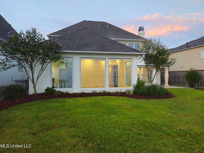 20250801_061741 | Image 103