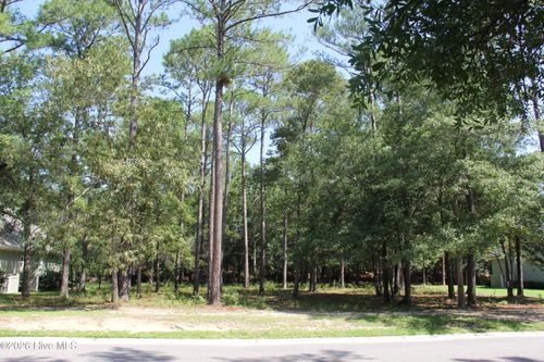 168 Lockhaven Drive Se, Bolivia, NC, 28422 | Card Image