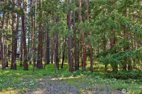 0 Lot 10 S Lake Cabins Rd, Ronald, WA, 98940 | Card Image