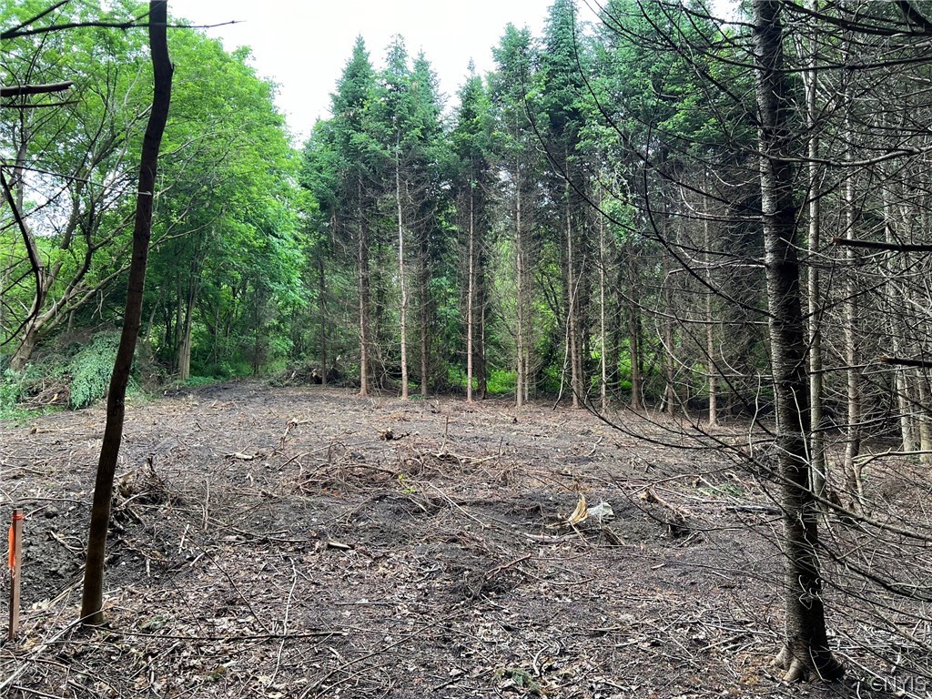 Land in Lafayette 3