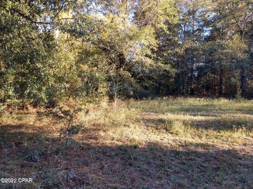 0 Marian Dr, Bonifay, FL, 32425 | Card Image