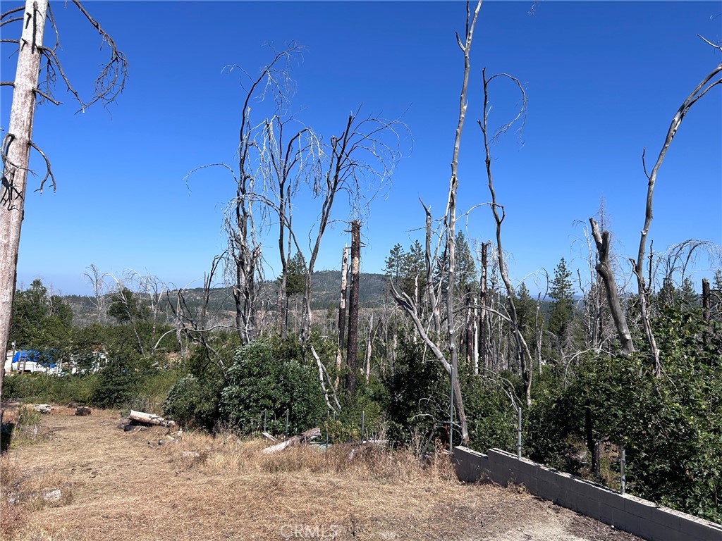Land in Berry Creek 5