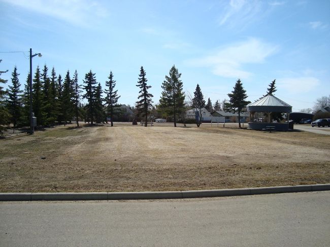 209 Main St, Home with 0 bedrooms, 0 bathrooms and null parking in Trochu AB | Image 13