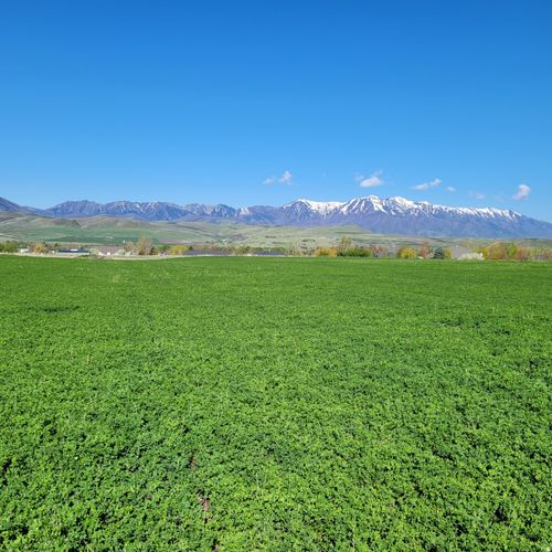 377 E 8900 S, Paradise, UT, 84328 | Card Image