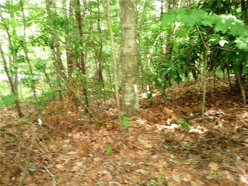 360 Kenmure Dr, Flat Rock, NC, 28731-9579 | Card Image