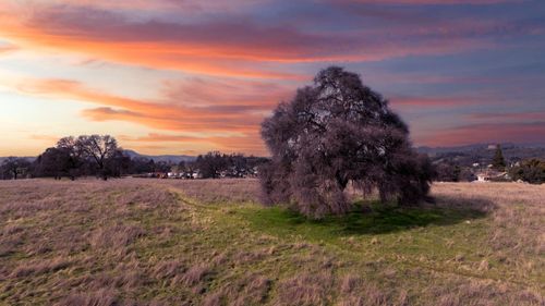 0 Angels Rd, San Andreas, CA, 95249 | Card Image