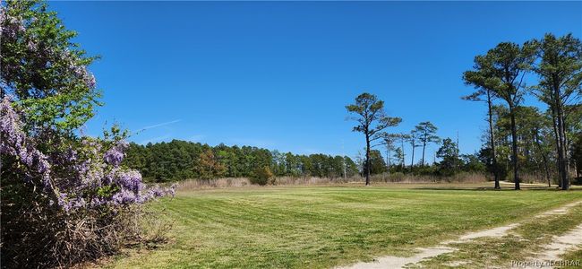 0 Piney Point Rd, Home with 0 bedrooms, 0 bathrooms and null parking in Onemo VA | Image 5