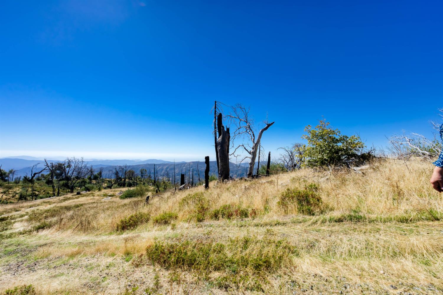 Land in Shaver Lake 4
