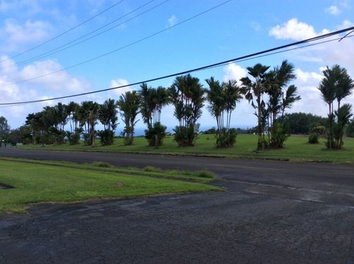 28-2981 Kumula St, PEPEEKEO, HI, 96783-9407 | Card Image