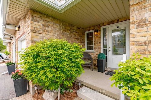 {{alt}} | Card Image