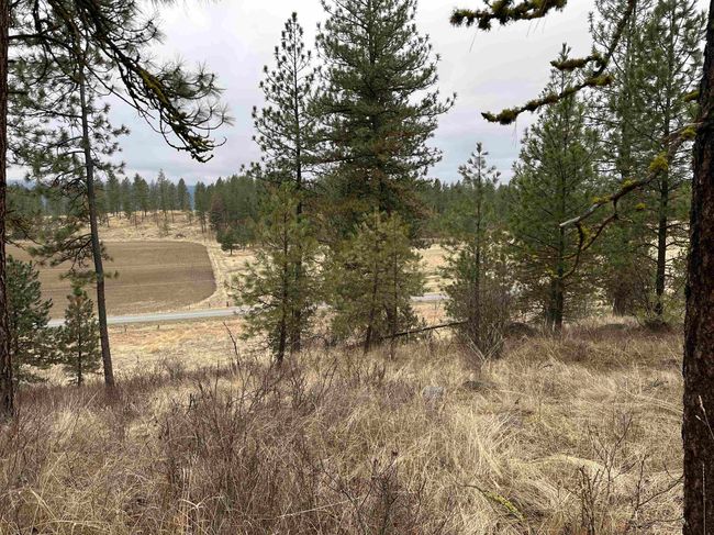3312X Daisy Mine Rd, Home with 0 bedrooms, 0 bathrooms and null parking in Rice WA | Image 15