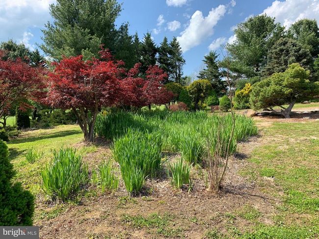 6502 Old Middletown Rd, House other with 3 bedrooms, 3 bathrooms and null parking in MIDDLETOWN MD | Image 79