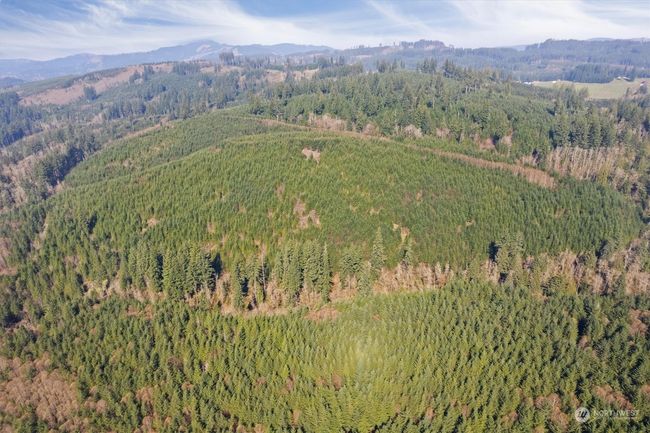 0 Ne Cedar Mist Rd, Home with 0 bedrooms, 0 bathrooms and null parking in AMBOY WA | Image 8