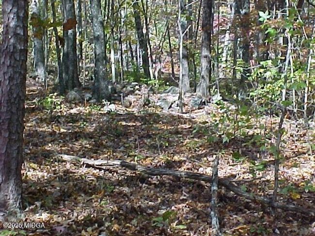 8 | Image 8