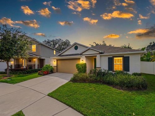 10539 Laguna Plains Dr, RIVERVIEW, FL, 33578-0046 | Card Image