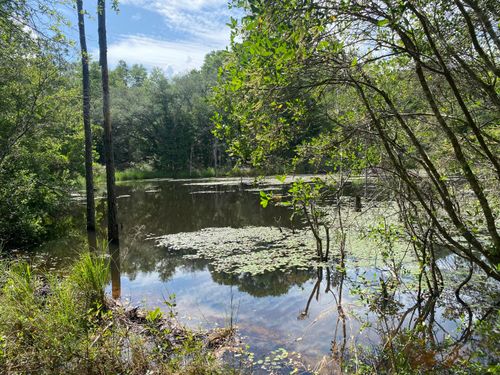 20 Canyon Trail, Baker, FL, 32531 | Card Image