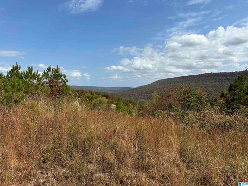 160-acres- Rock Bridge Road, Gallant, AL, 35972 | Card Image