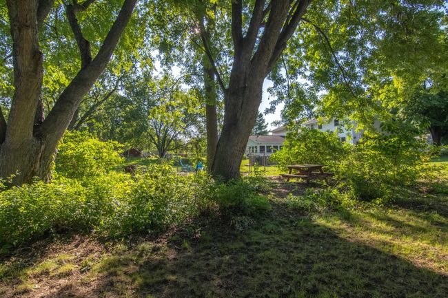 Mature trees surround the lot | Image 40