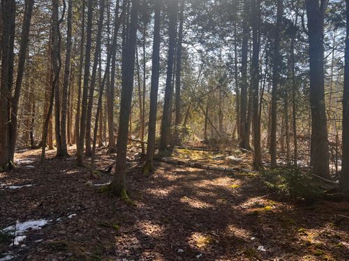 1148 Cape Rosier Road, Brooksville, ME, 04617 | Card Image